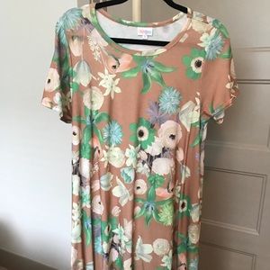 LulaRoe Floral Swing Dress (“Carly” Style)